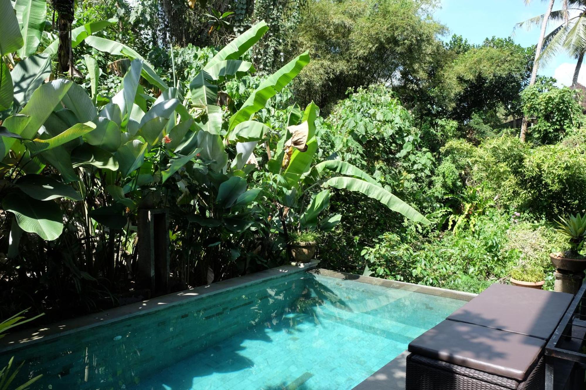 Suastika Guest House Ubud Exterior foto